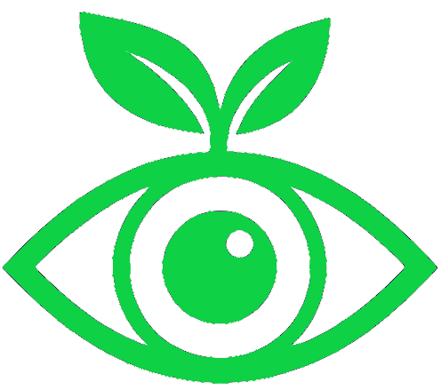EYEVION Logo